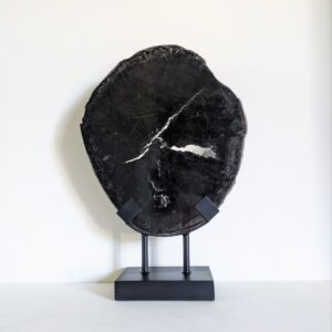 versteend hout op statief