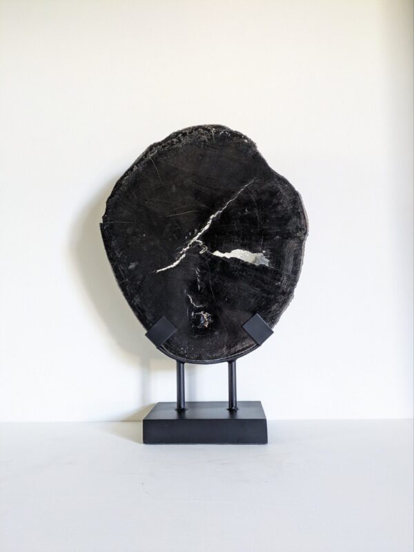 versteend hout op statief