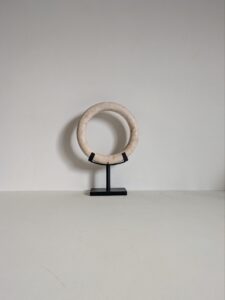Ring op statief