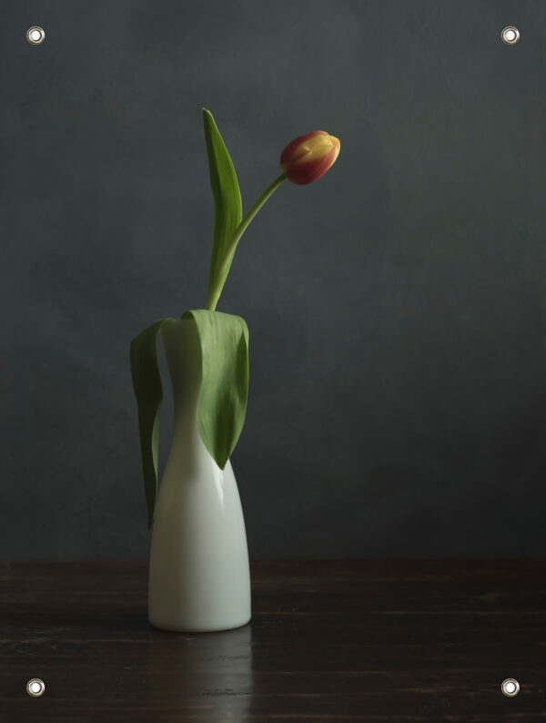 Tuinposter 'Tulp' - Afbeelding 2