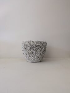 Schelpenpot